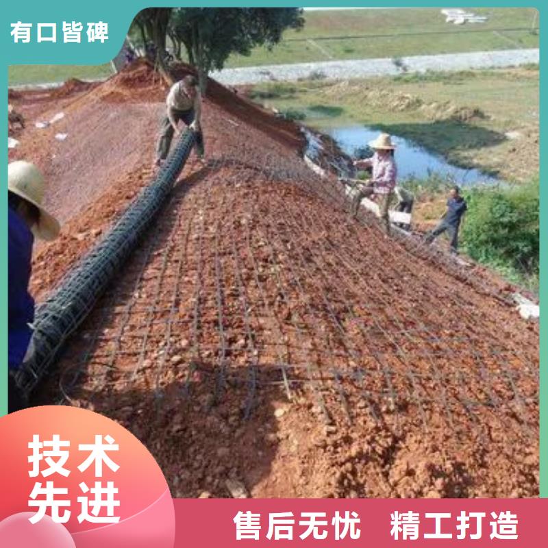 土工格栅直销厂家本地服务商