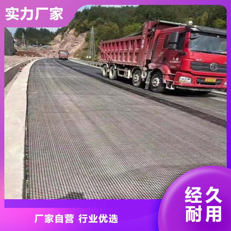 土工格栅-聚丙烯单丝纤维厂家案例重信誉厂家