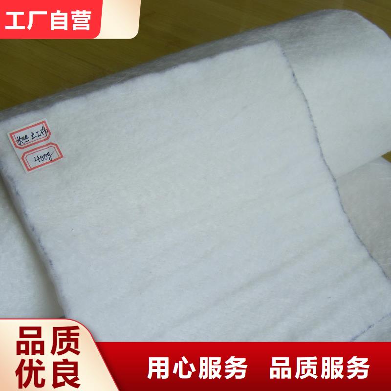 土工布,铜片止水价格有优势同城公司