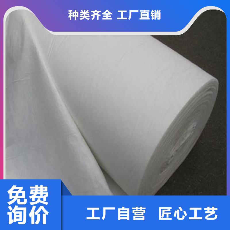 【土工布抗裂纤维厂家厂家直销规格多样】不断创新