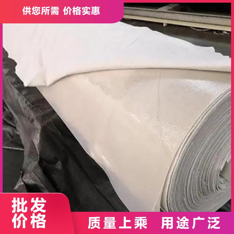 【土工布】土工膜精致工艺支持批发零售
