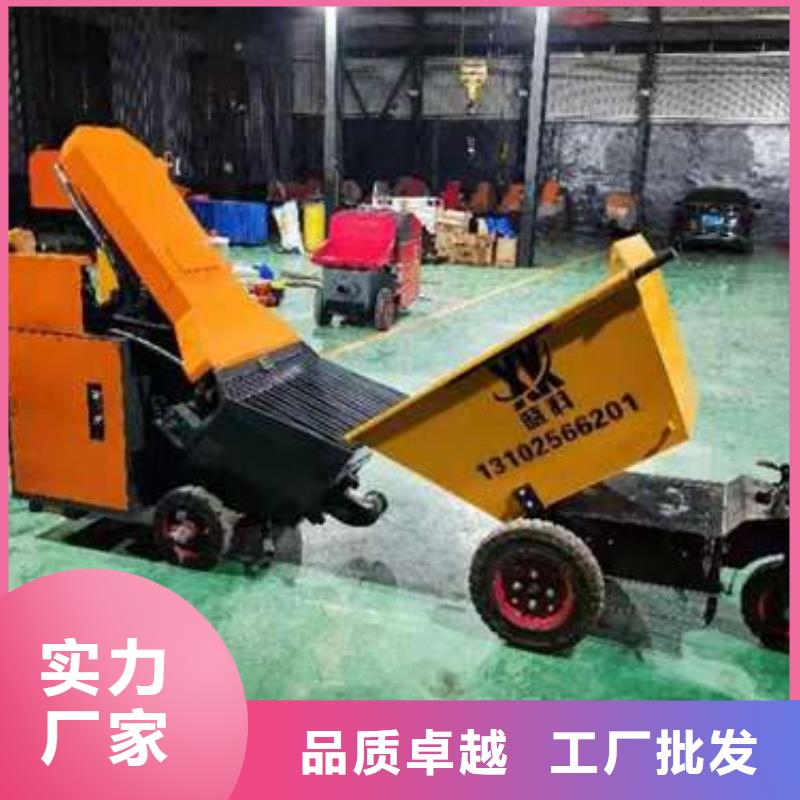 二次构造柱泵【微型混凝土泵】产品细节参数一周内发货