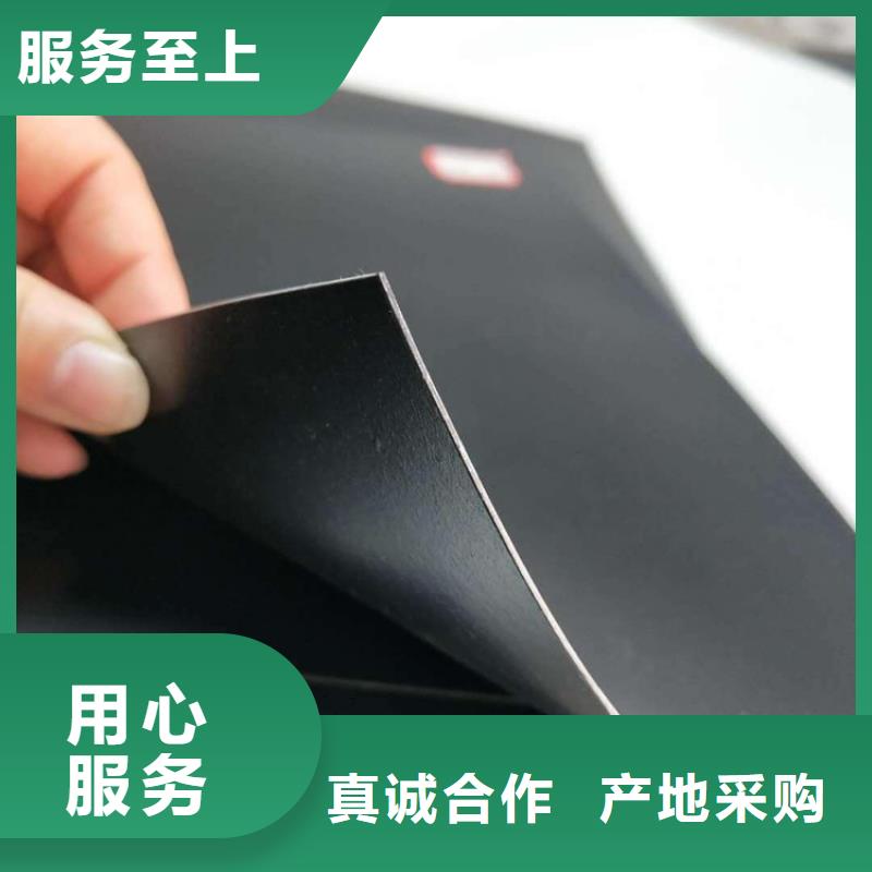 土工膜玻纤格栅质量三包当地服务商