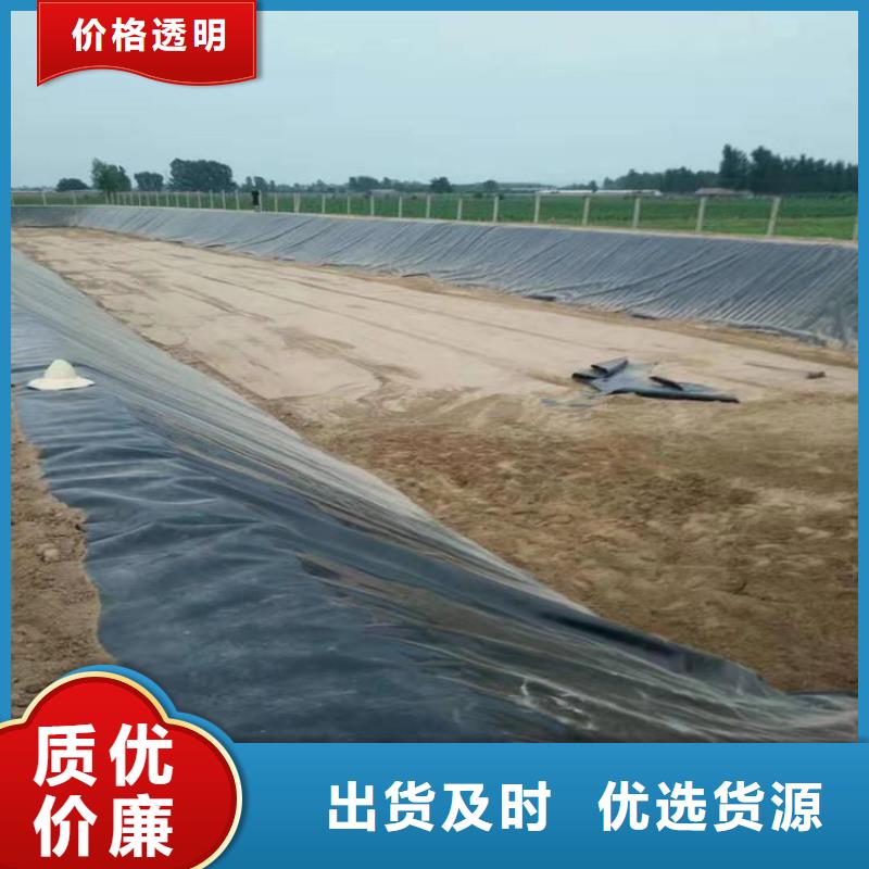 土工膜【防渗膜】好品质经得住考验当地厂家