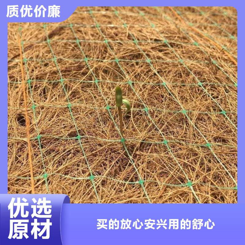 椰丝毯,土工膜厂家经验丰富本地供应商