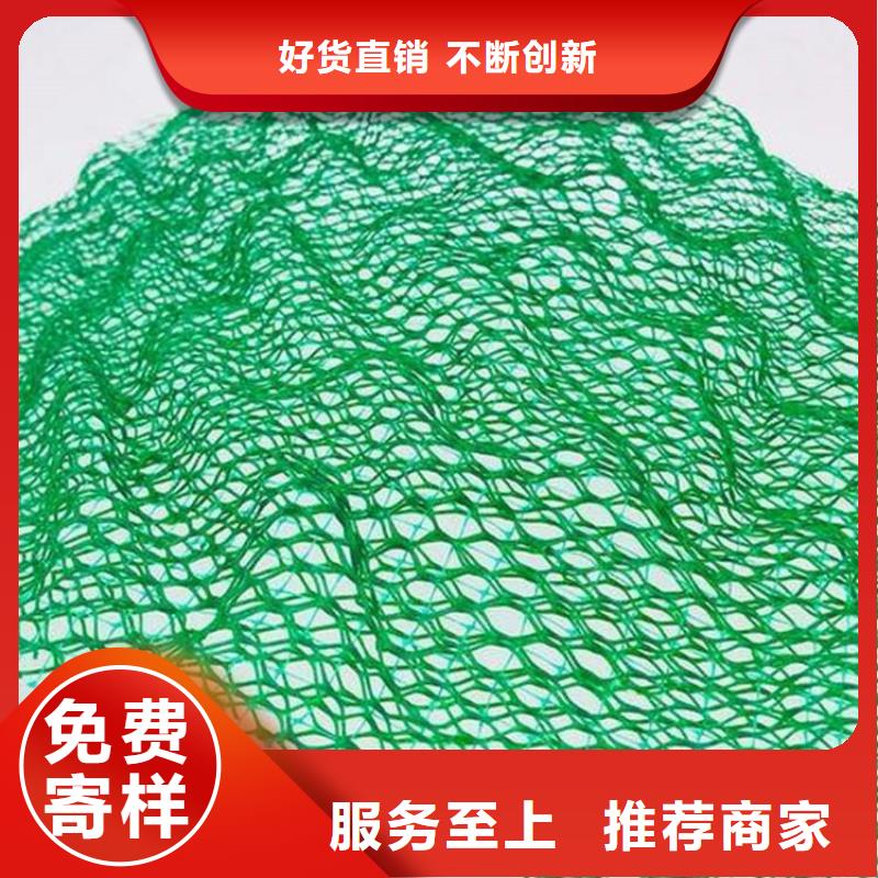三维植被网_土工格室颜色尺寸款式定制优良材质