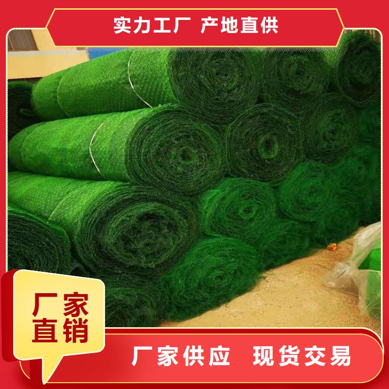 三维植被网双向塑料土工格栅库存齐全厂家直供同城品牌