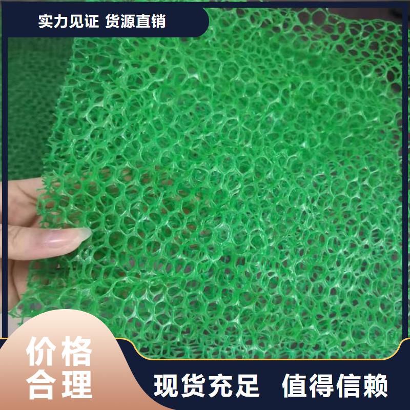 三维植被网双向土工格栅定制批发实力才是硬道理