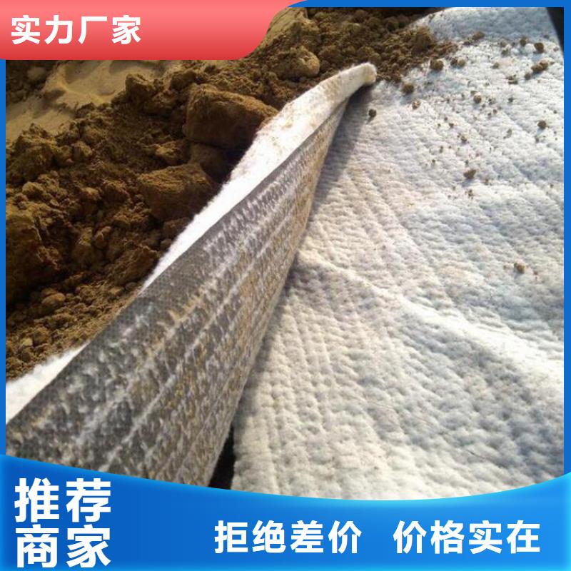 膨润土防水毯_土工膜产地批发同城供应商