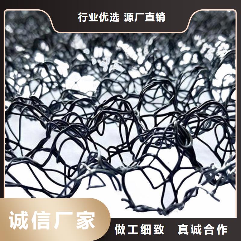 水土保护毯植草格出货快多年实力厂家