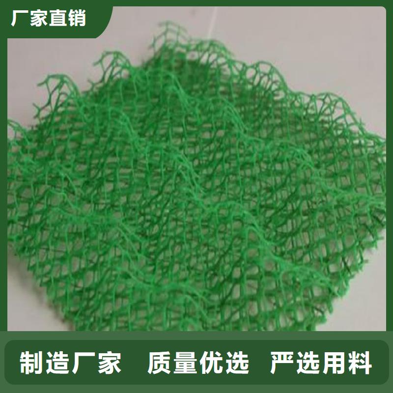三维植被网,土工膜经久耐用实力见证