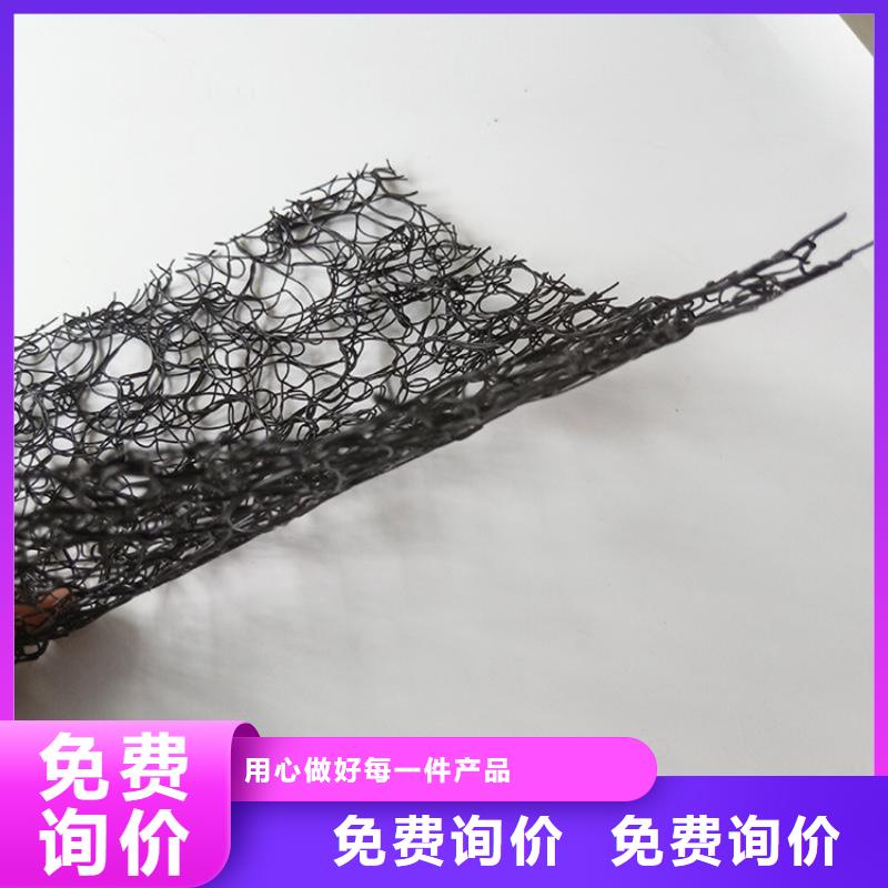 【通风降噪丝网】钢塑土工格栅今年新款采购