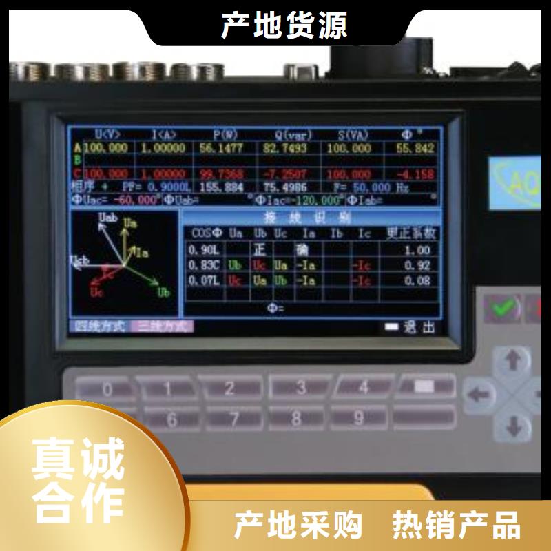 电能质量分析仪【蓄电池测试仪】服务至上同城厂家