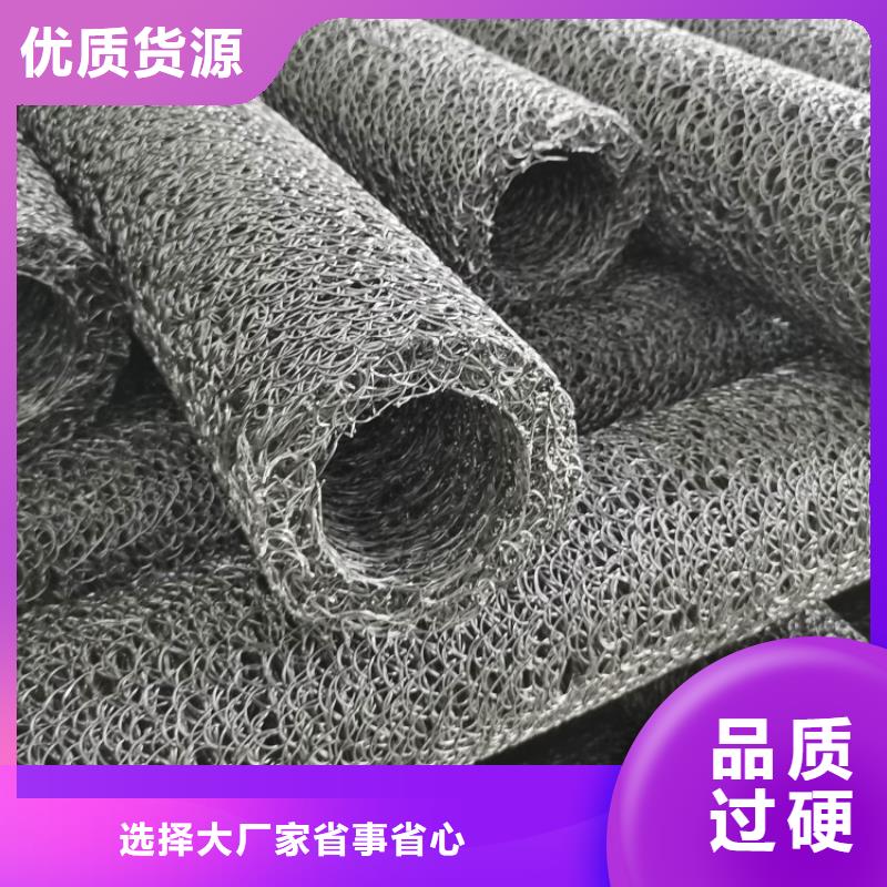 塑料盲沟滤水板实力大厂家同城品牌