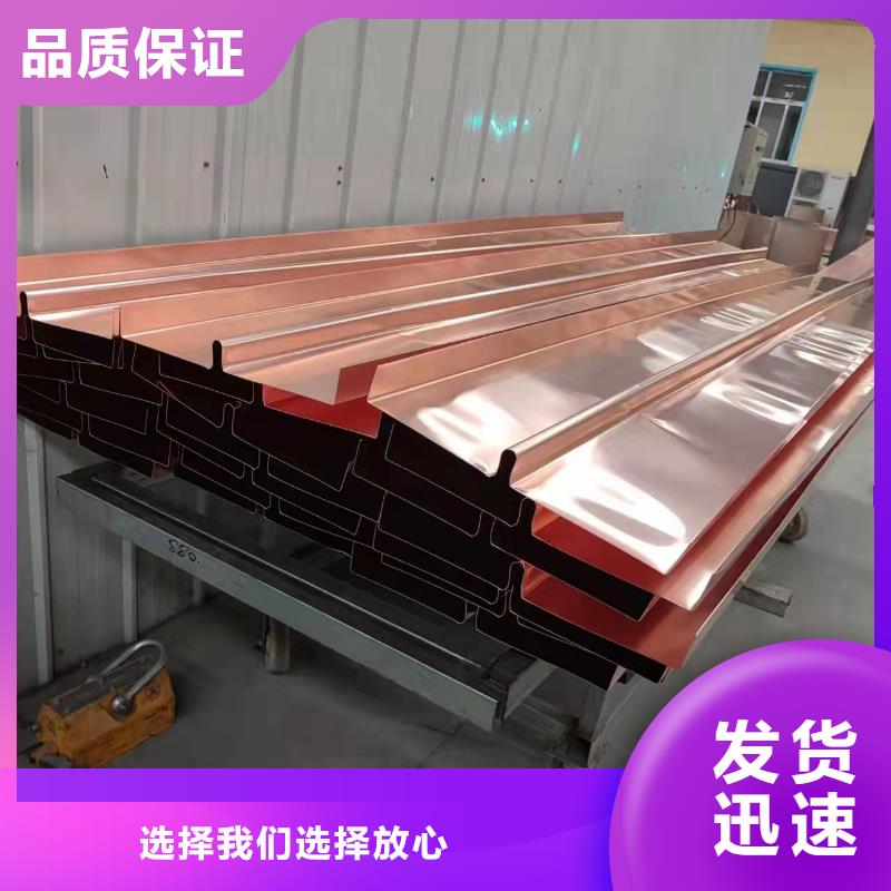 止水铜片土工格栅厂家自营当地厂家