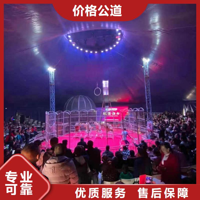 马戏团/羊驼萌宠动物展出租多年经验多年行业经验