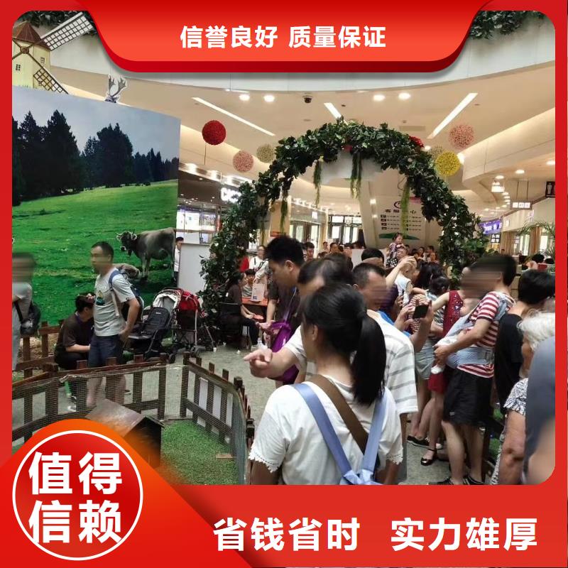 马戏团/羊驼,【【美人鱼出租演出】】质优价廉同城制造商