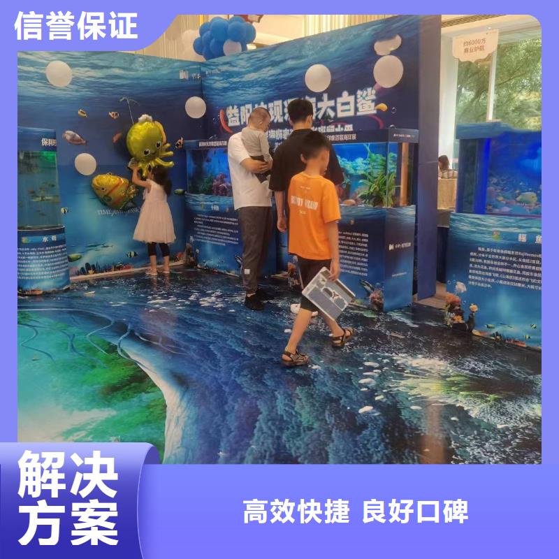 海洋主题动物表演,【企鹅演出】诚信精英团队