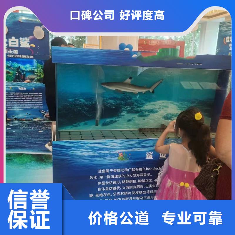 【海洋主题动物表演羊驼出租实力公司】服务至上