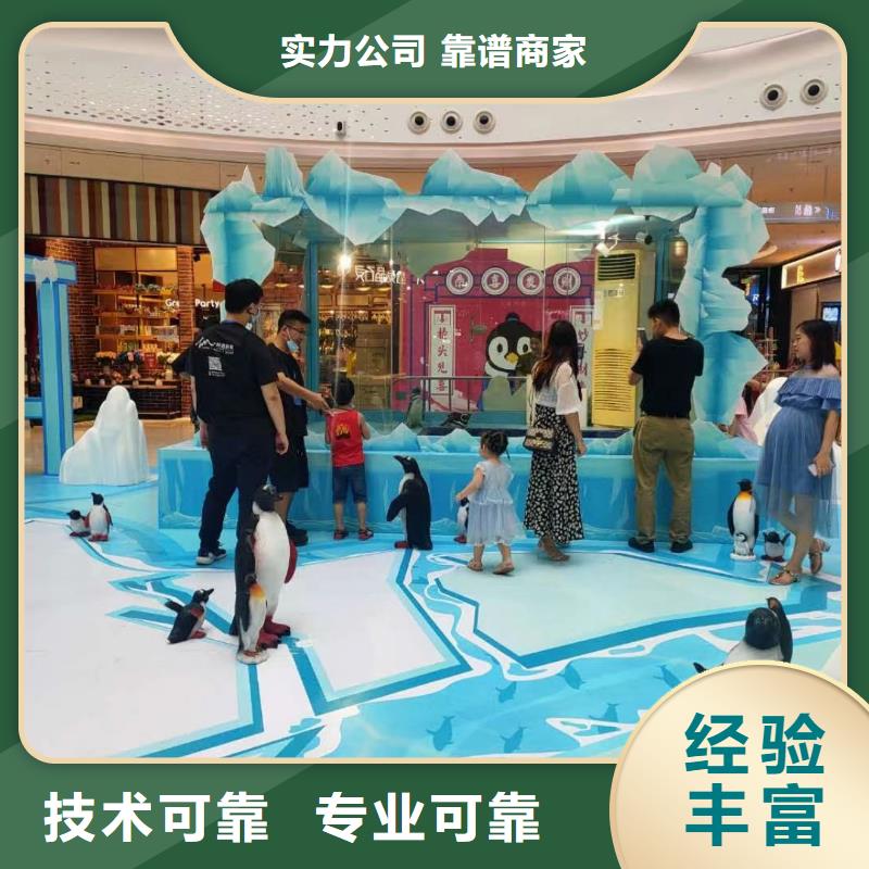 【海洋主题动物表演-出租动物表演专业承接】当地经销商