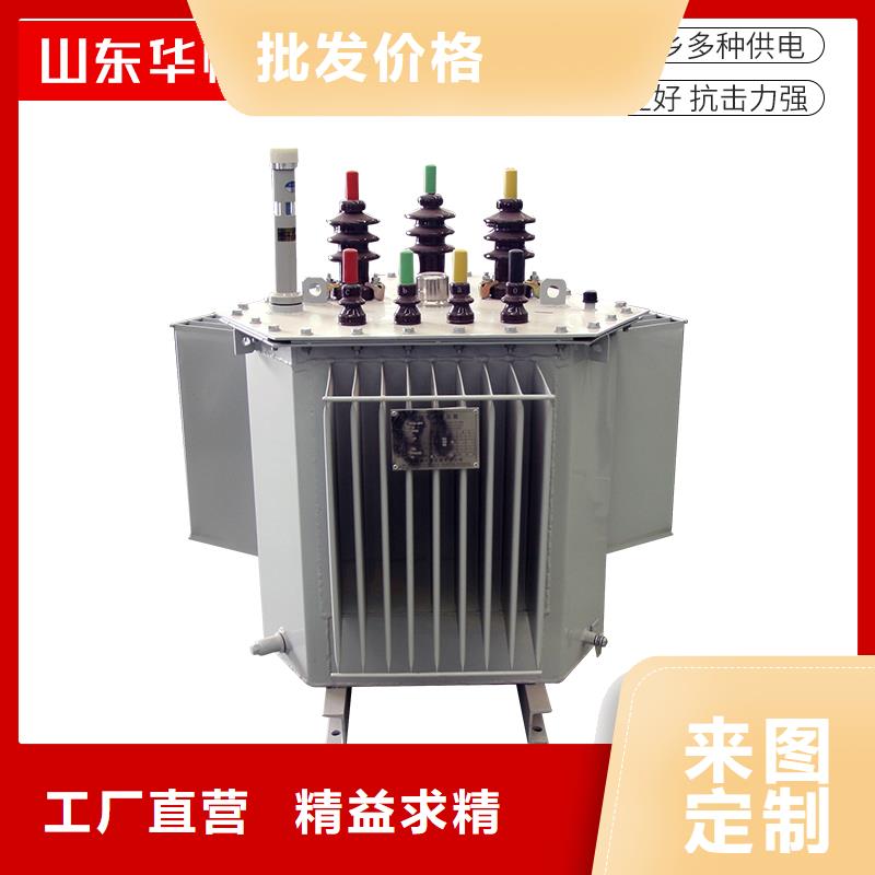 油浸式变压器【220V隔离变压器】工厂自营当地货源