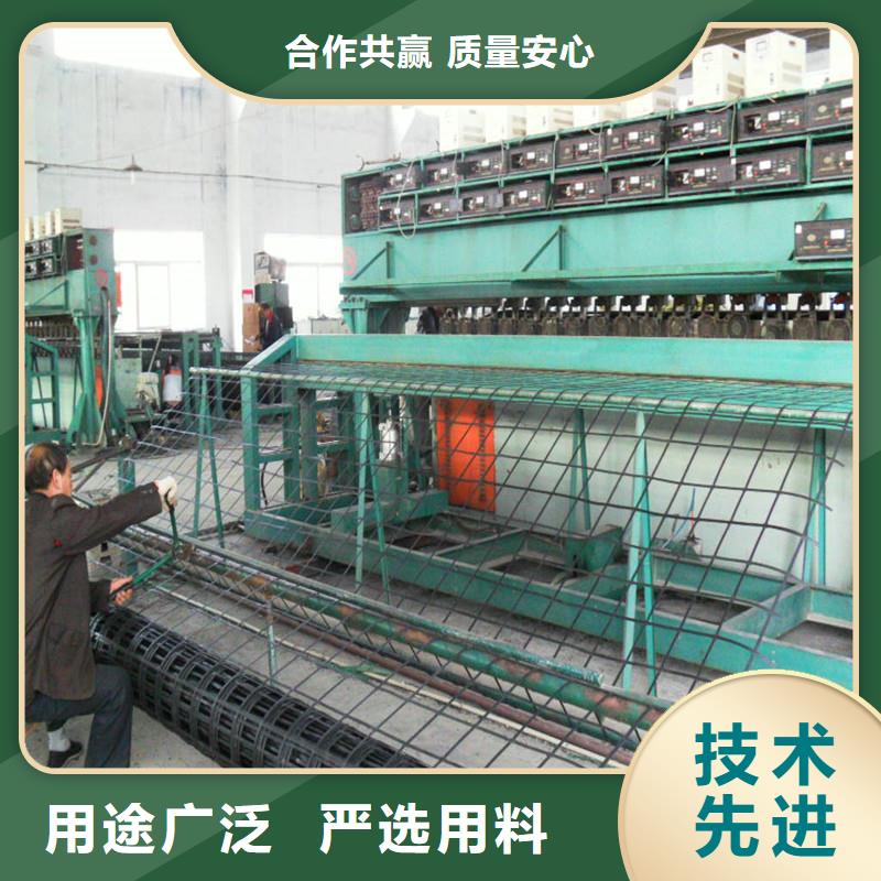 土工格栅-三维植被网厂家精选款式新颖