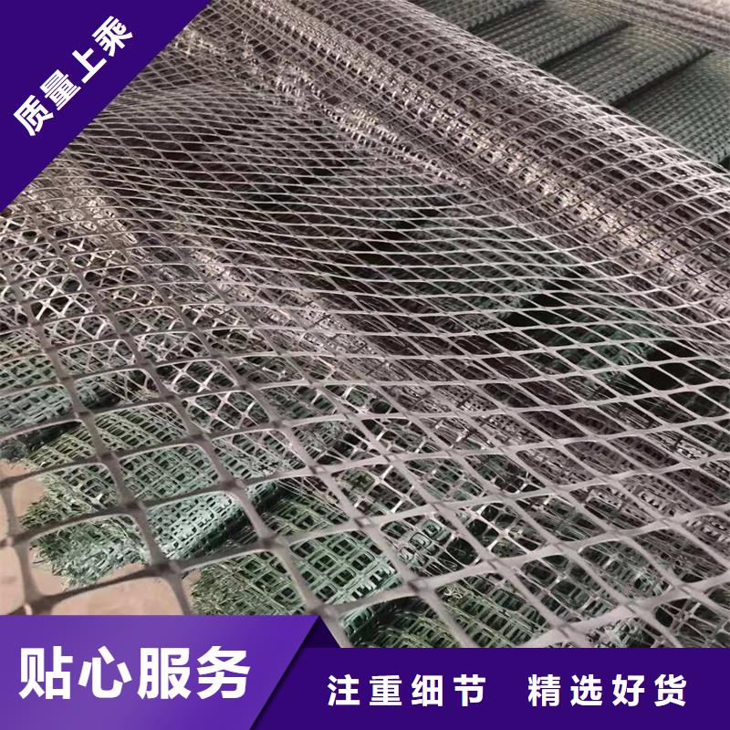 塑料土工格栅生产基地当地厂家