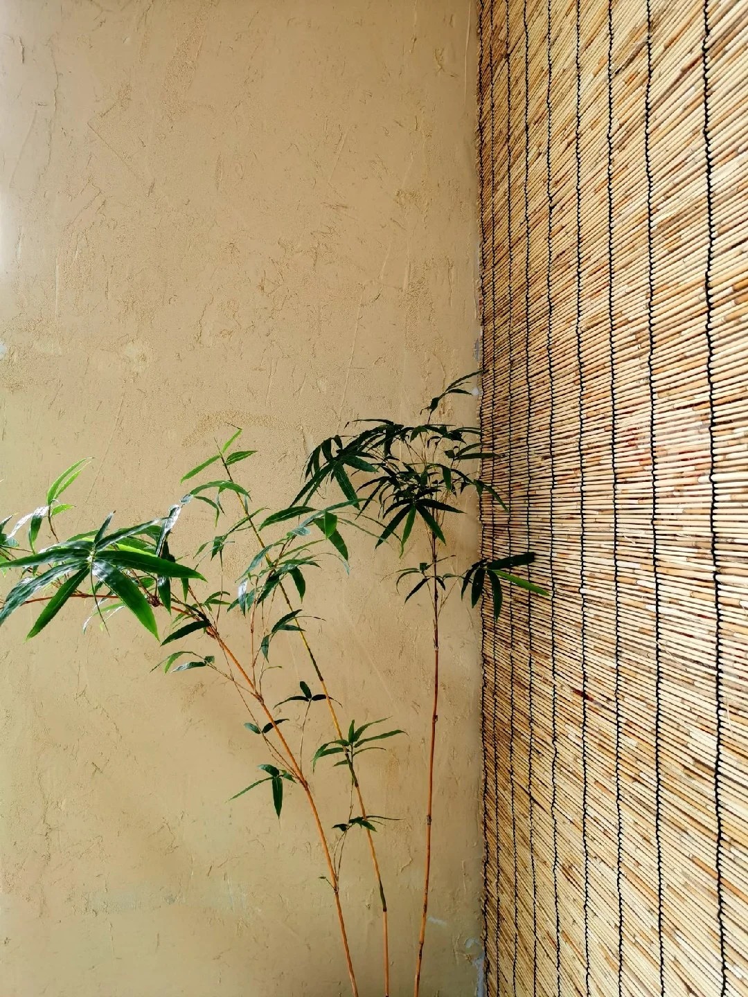 景区建筑稻草漆源头批发
