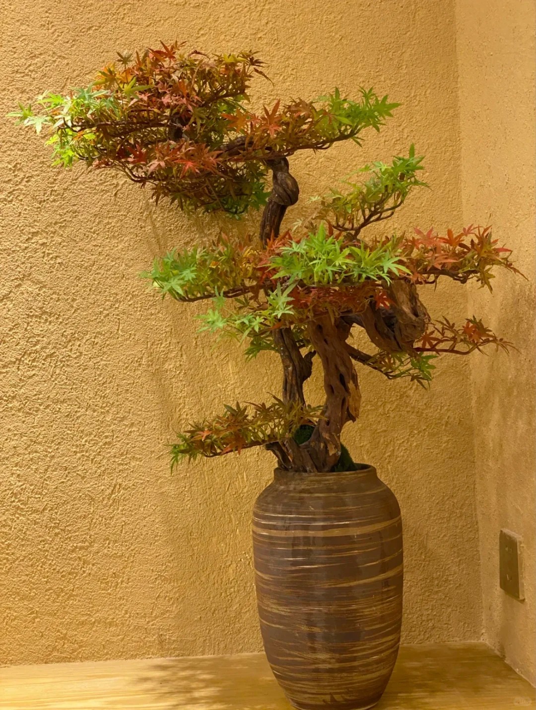 多少钱户外稻草漆质优价廉