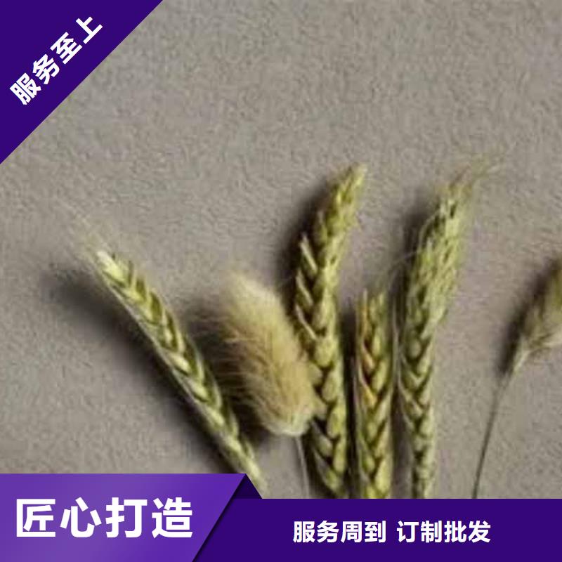 质感雅晶石项目同城制造商