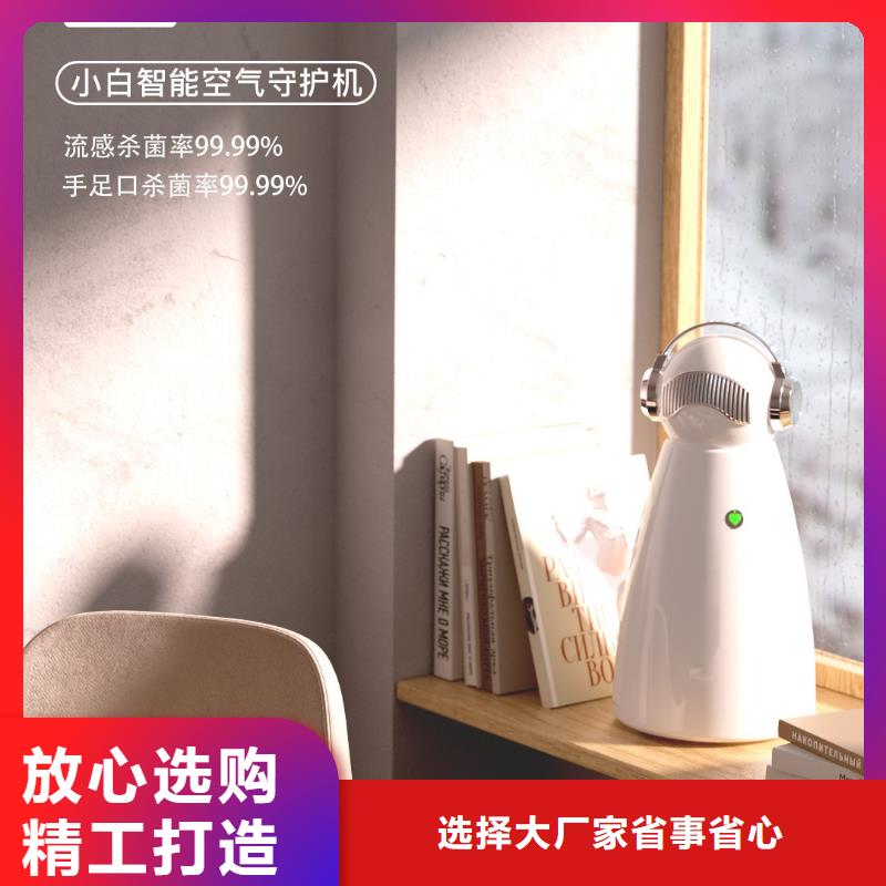 空气净化器【无臭养宠】符合标准诚信经营质量保证