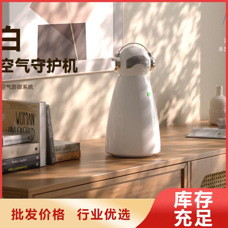 小白祛味王【无臭养宠】质优价保当地公司