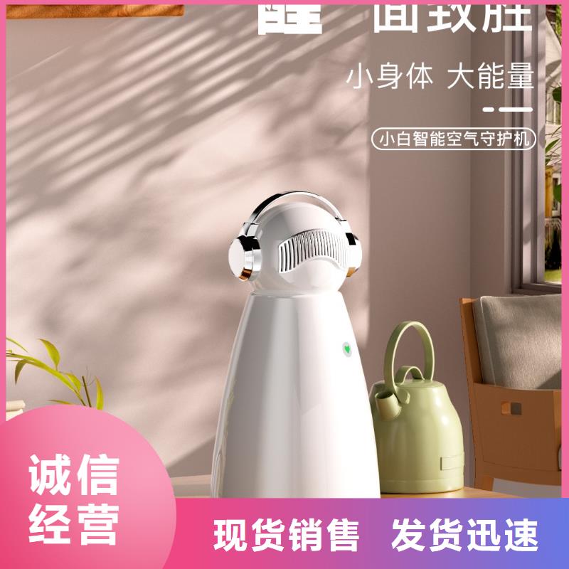 【小白祛味王】,批发小白祛味王N年专注严格把控质量