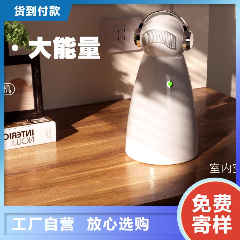 小白祛味王小白空气守护机一站式服务当地厂家