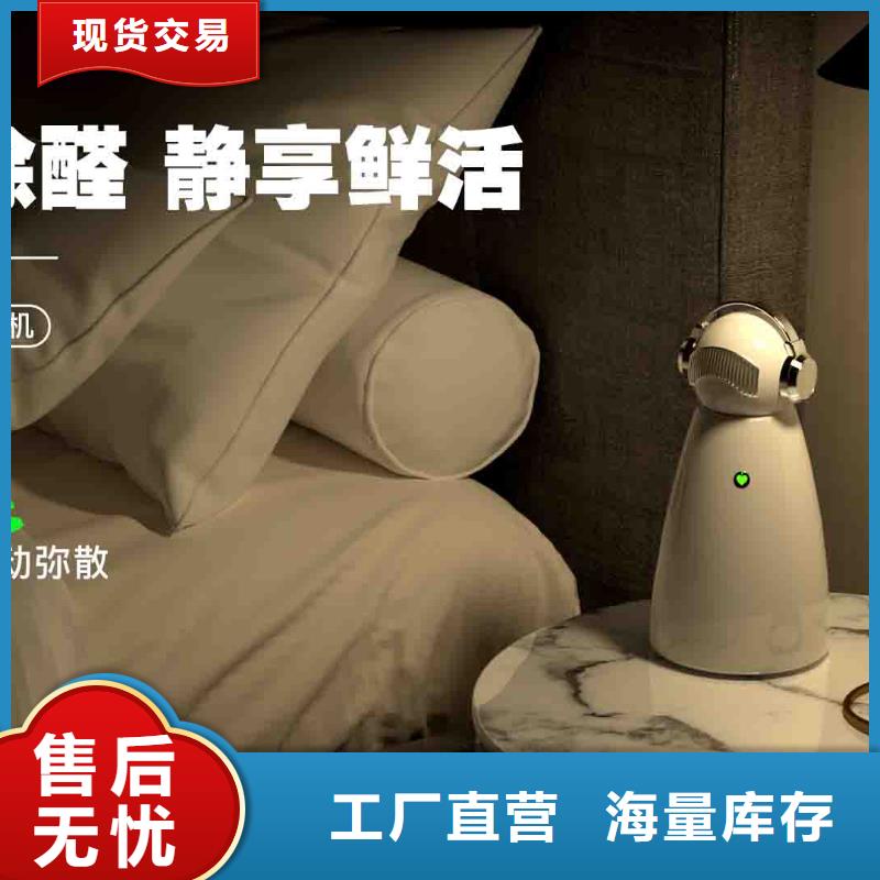 【小白孕妇空气守护机】无臭养宠价格有优势当地货源