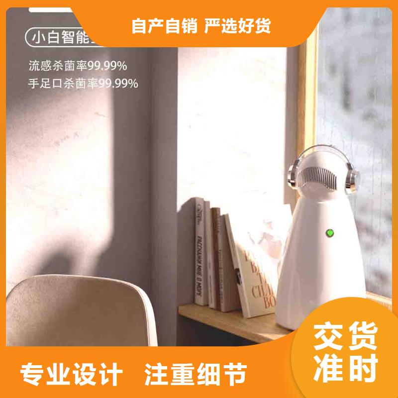 【小白孕妇空气守护机-【小白空气守护机器人】免费询价】注重细节