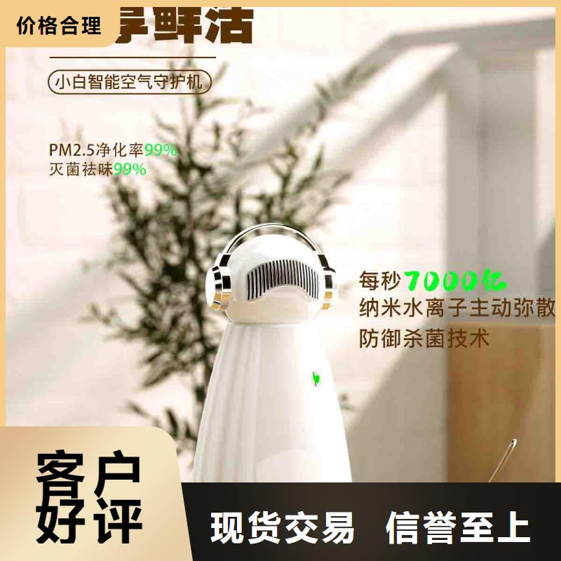 小白孕妇空气守护机_供应智能空气净化器敢与同行比价格源厂直销