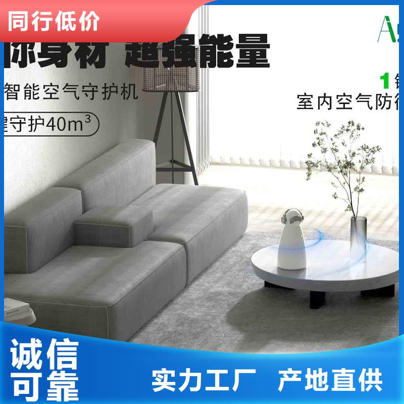 小白婴儿空气守护机【车载空气净化器】追求细节品质同城服务商