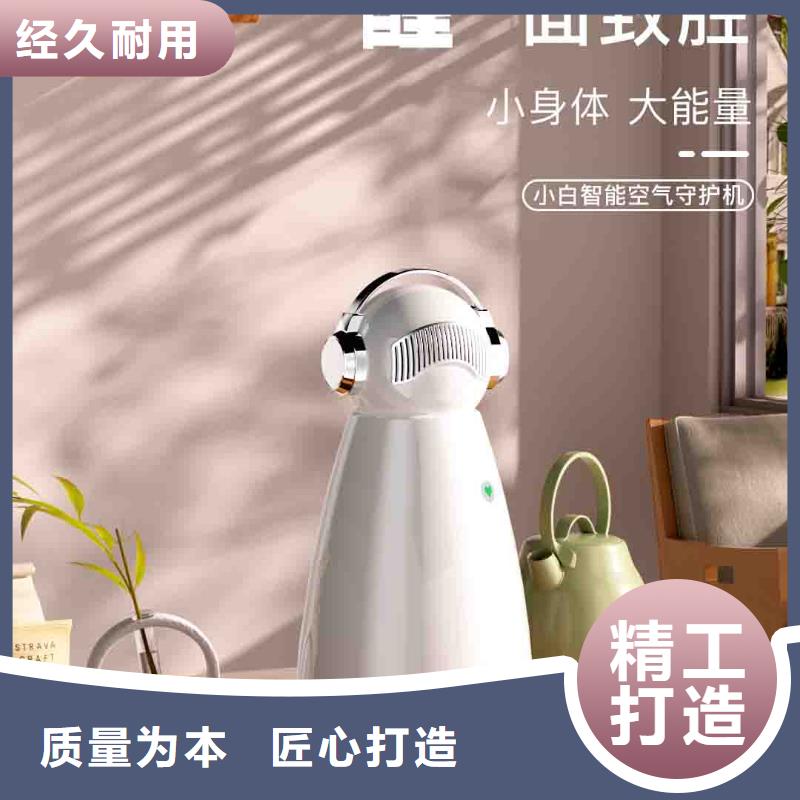 小白婴儿空气守护机-【无臭养宠】批发货源免费寄样