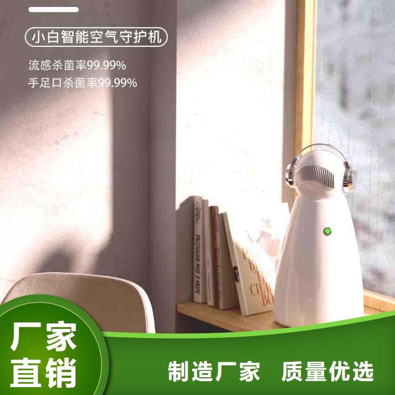 小白空气守护机批发小白祛味王批发价格源头厂家直销