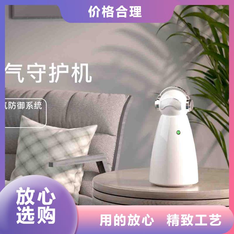 小白空气守护机小白祛味王销售热线一站式供应性价比高