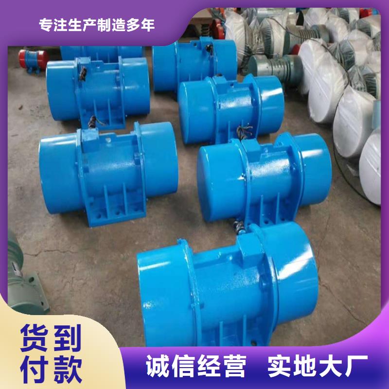 振动电机_振动平台质量好本地公司