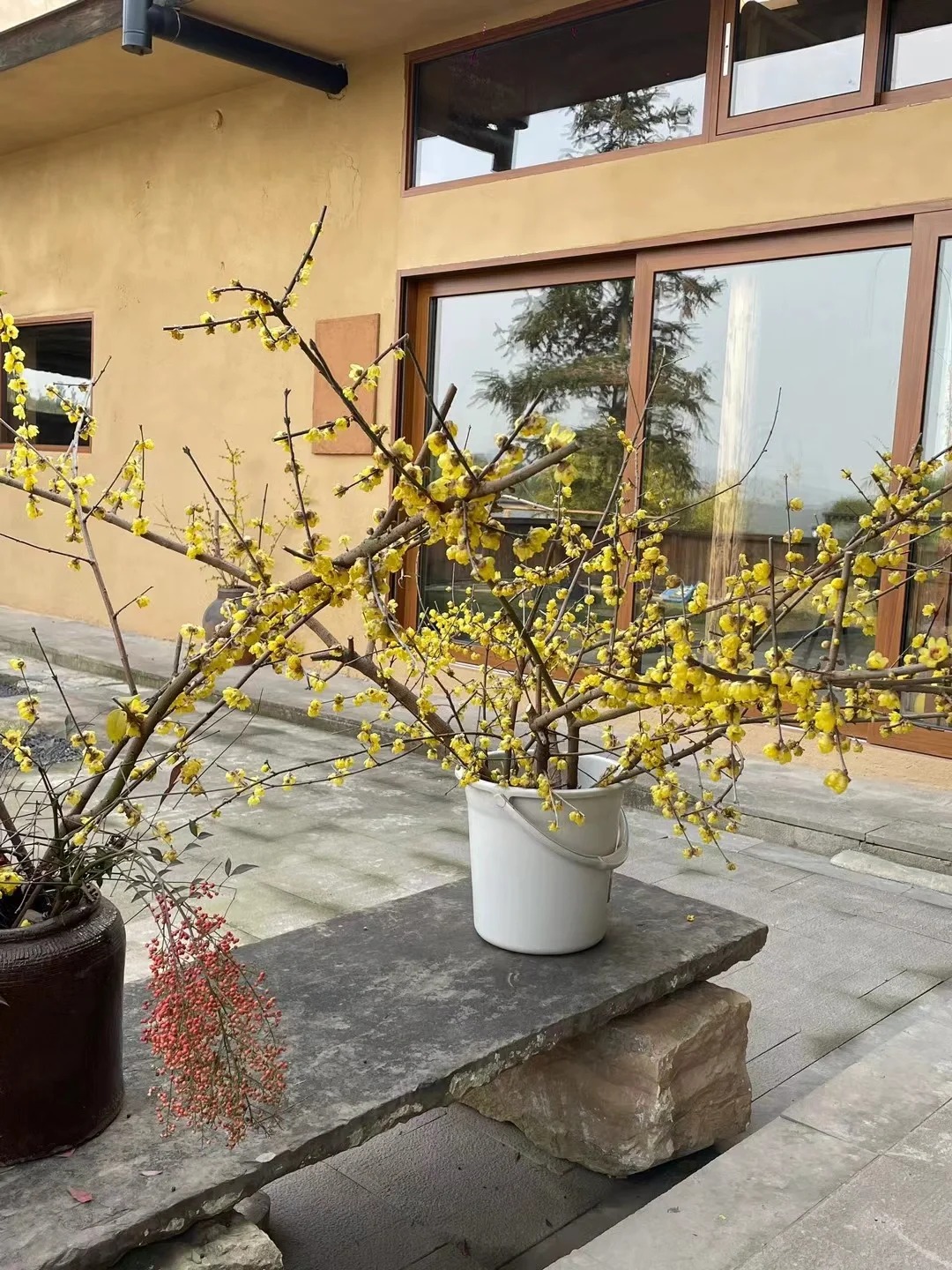 内外墙稻草漆生产厂家，批发施工