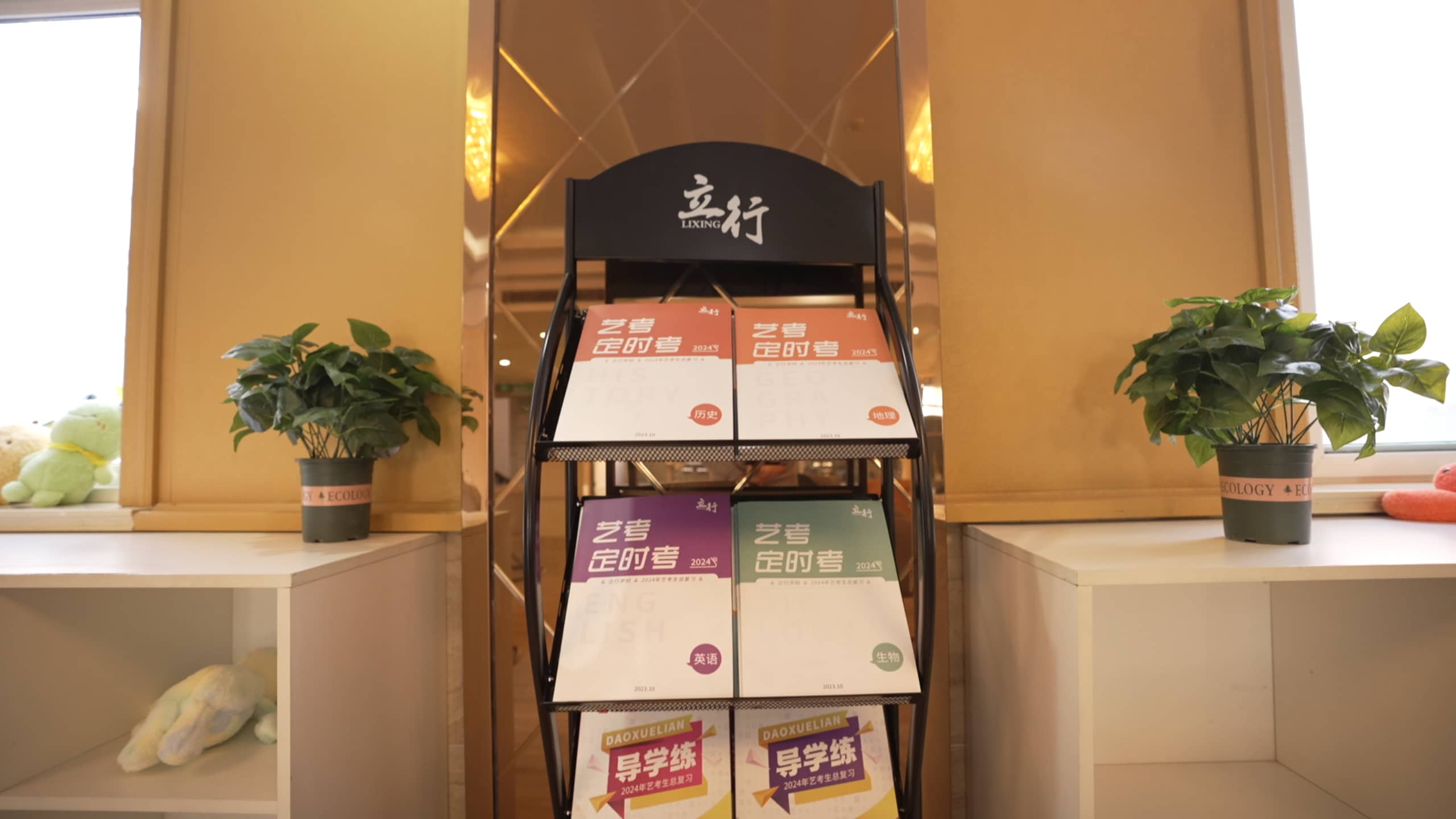 艺考文化课高考全日制实操培训