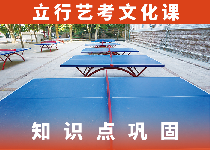 美术生文化课培训学校多少分