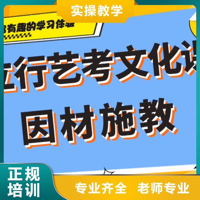 【艺术生文化课_艺考一对一教学学真技术】手把手教学