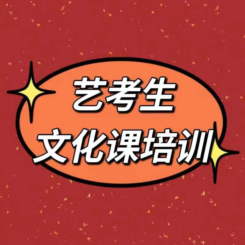 艺考文化课编导班技能+学历