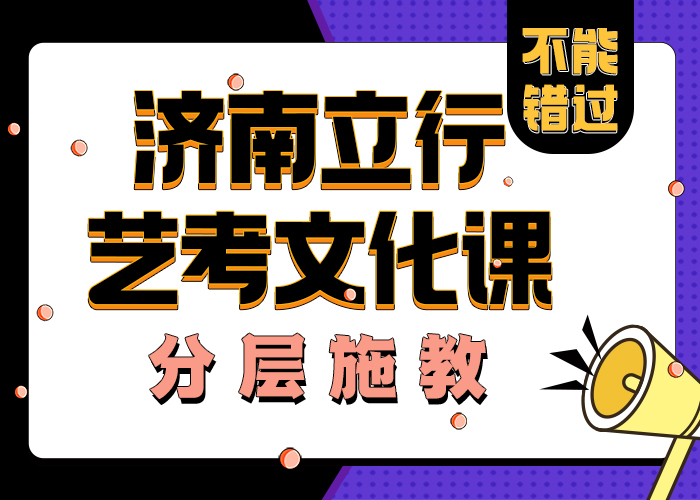 济南艺考文化课-艺术专业日常训练老师专业
