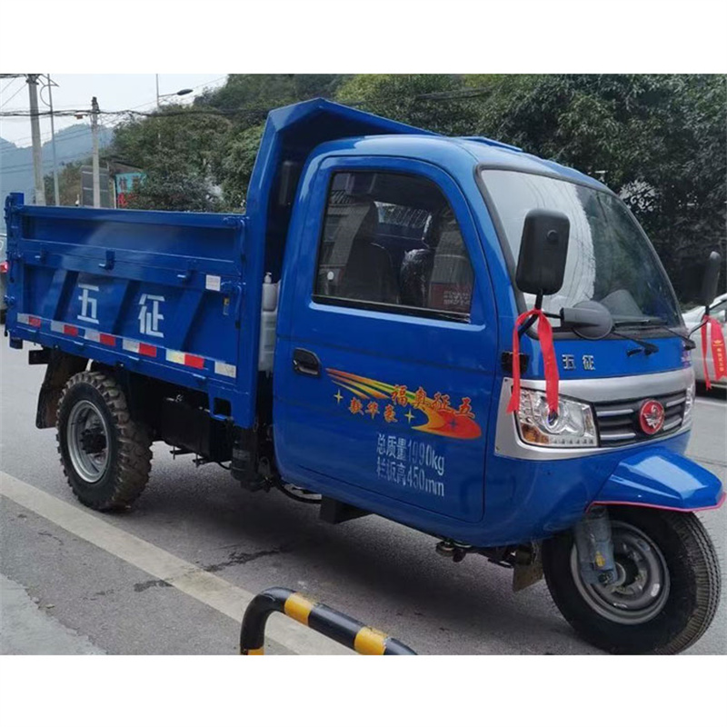 电动三轮车定制-实力厂家