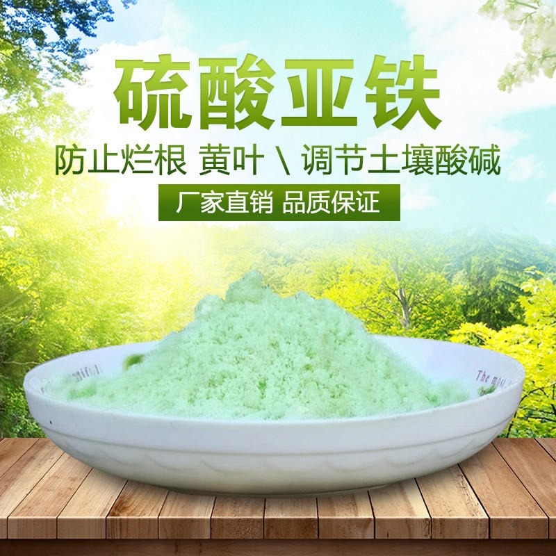 文昌市一水硫酸亚铁核心技术